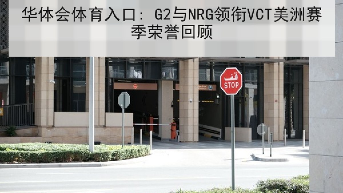 华体会体育入口: G2与NRG领衔VCT美洲赛季荣誉回顾