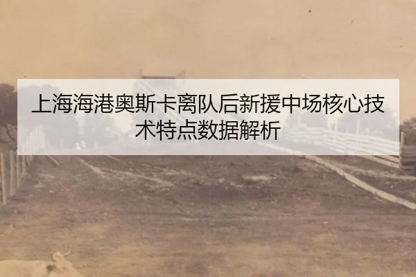 上海海港奥斯卡离队后新援中场核心技术特点数据解析