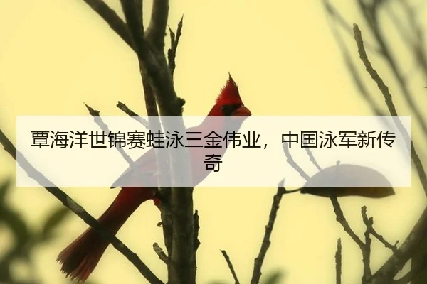 tan-hai-yang-shi-jin-sai-wa-yong-san-jin-wei-ye-zhong-guo-yong-jun-xin-chuan-qi-2-521.jpg